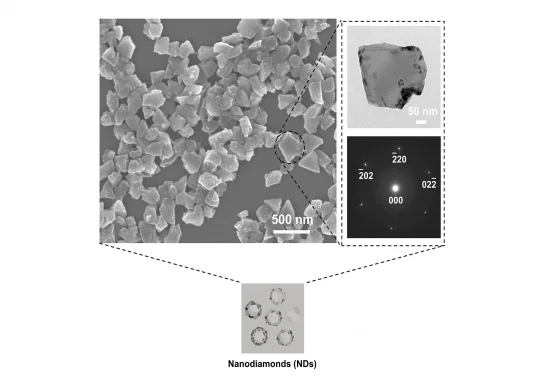 HKU Engineering and Dentistry collaborative study reveals 
Nanodiamonds to be an effective agent in tackling oral infections