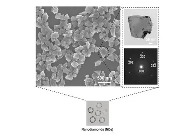 HKU Engineering and Dentistry collaborative study reveals 
Nanodiamonds to be an effective agent in tackling oral infections
