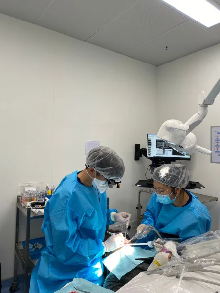 HKU Dentistry’s “Azalea Gum Treatment Project
