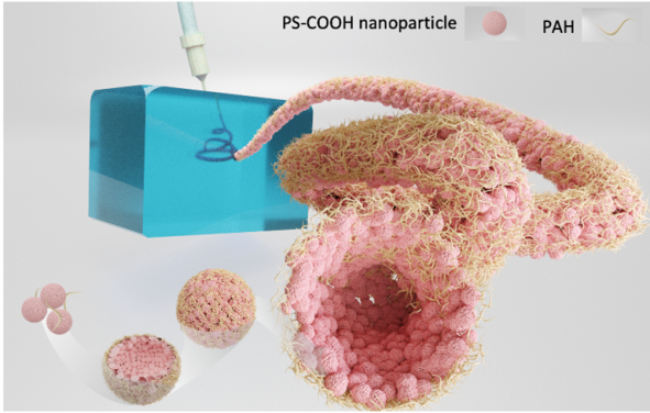 HKU Engineering and Lawrence Berkeley National Laboratory researchers pioneer biocompatible all-water ‘Aquabots’