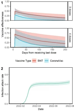 HKUMed study reveals three or four doses 
of the Comirnaty or CoronaVac vaccines 
remain effective in preventing Omicron infection
