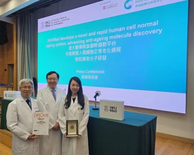 HKUMed develops a novel and rapid normal human cell ageing system, advancing anti-ageing molecule discovery