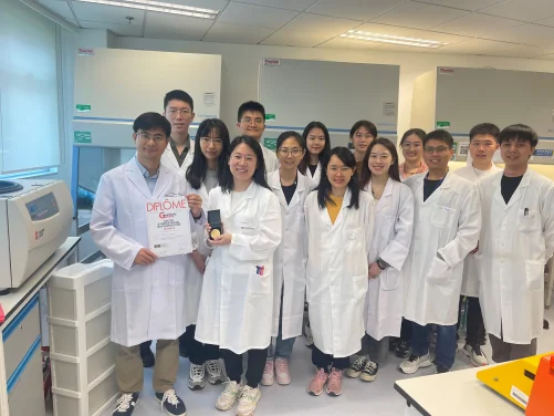 HKUMed develops a novel cinnamaldehyde nanomedicine for  rheumatoid arthritis treatment