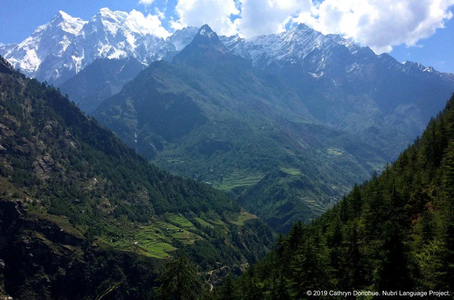 Many villages in lower Nubri are built on ancient landslips. These precarious looking slopes overlook the Budhi Gandaki river that starts in Tibet and runs through the valley to the Gorkha hills and then joins the Narayan River, and ultimately joins the Ganges. On the eastern edge of Nubri Valley looms Syarang Himal, the peak of which, Chamar, is 7165m, seen here from Prok village.  