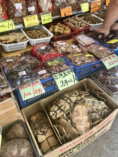 Hong Kong is the biggest importer and the second-biggest exporter of traditional medicine globally. Photo courtesy: Astrid Andersson