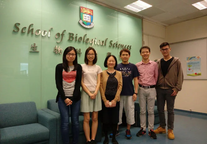 HKU-led biologists identify the switch for Neuroglobin gene
 – a new target for Alzheimer’s disease