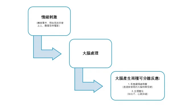 HKU psychology research reveals how the brain constructs emotional experiences