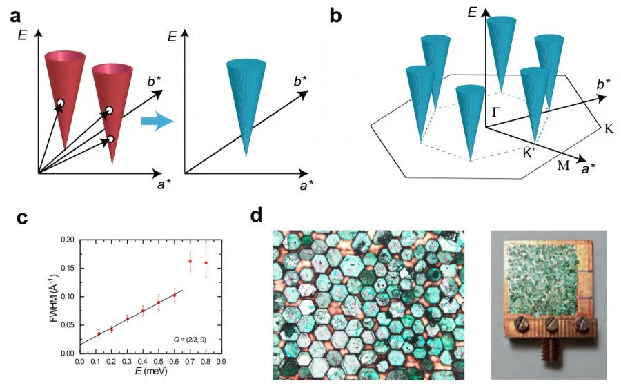 a. Schematic diagram of the conical excitations of Dirac spinons and the conical continuum spectrum formed by two spinons. b. Schematic diagram of the conical spin excitations in YCu3(OH)6Br2[Br0.33(OD)0.67]. c. Relationship between the half-width at half-maximum and energy. The solid line represents a linear fit. d. A magnified image of some co-aligned crystals, and the front view of co-aligned samples on two Cu plates.