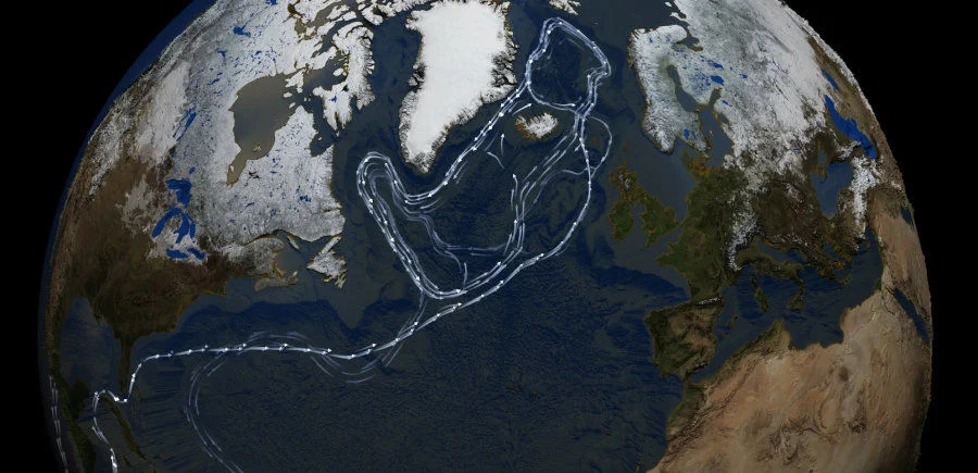 Image 1: Atlantic meridional overturning circulation. Image credit: NASA/Goddard Space Flight Center Scientific Visualization Studio (https://svs.gsfc.nasa.gov/3884)
