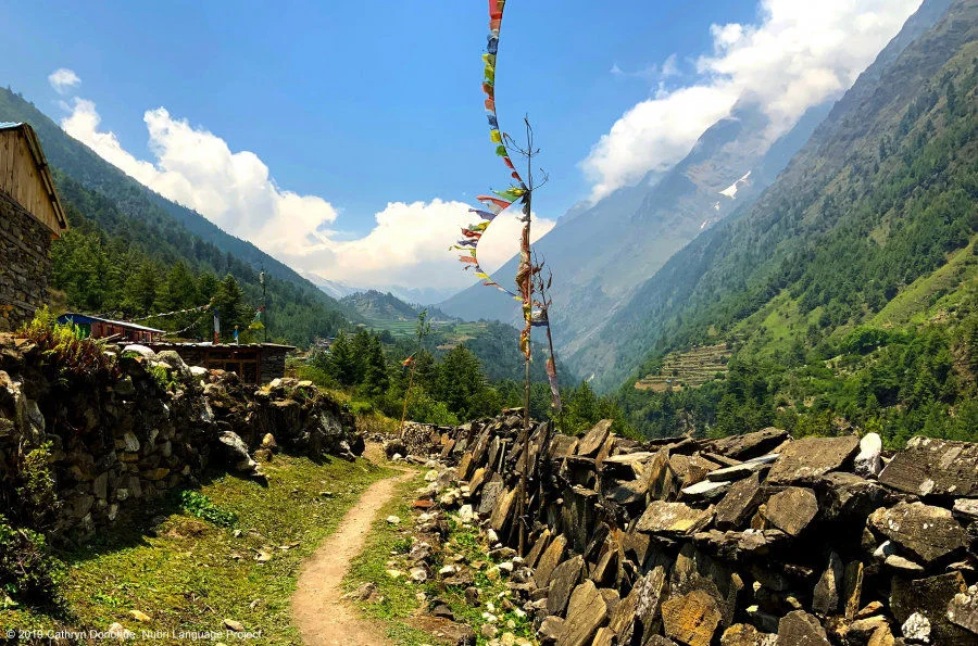 On the trek heading up Nubri Valley, just passing Syo, Ripum monastery perched atop the hill in Lho comes into view. The mani walls seen here on the right line many of the paths through the valley.  