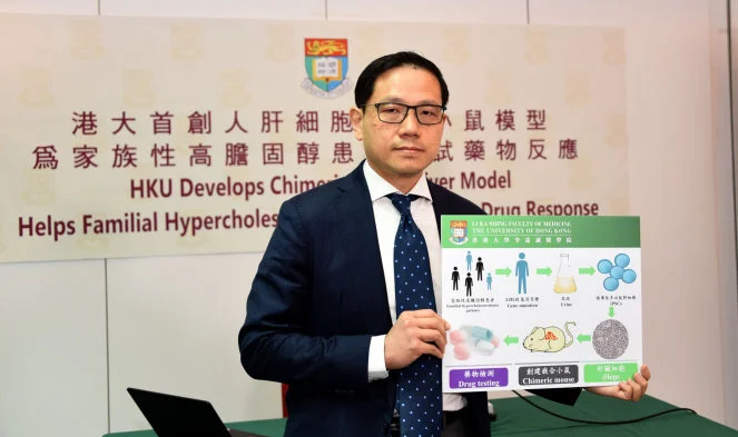 HKU Develops Chimeric Mouse Liver Model 
Helps Familial Hypercholesterolemia Patients Test Drug Response