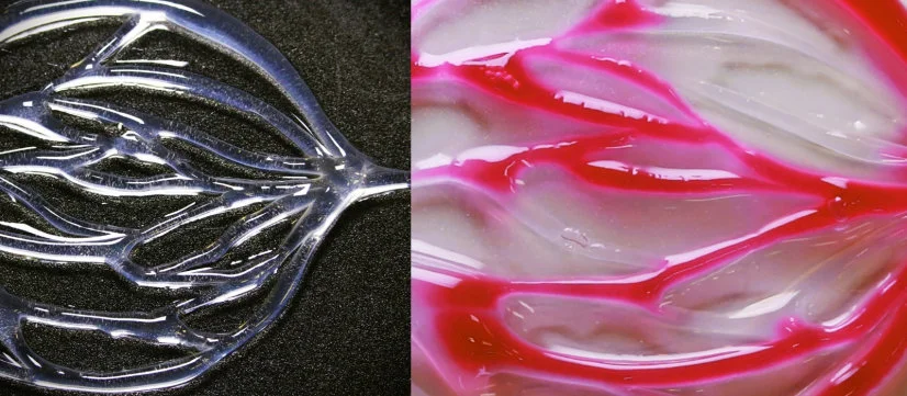 VasFluidics: HKU Engineering researchers invent fluidic systems resembling blood vascular tissues for promising applications in the development of artificial blood vessels and biomedicine