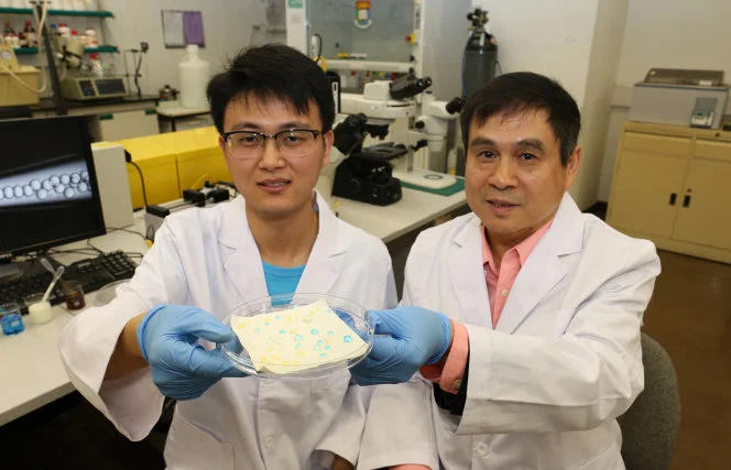 No more laundry?
Innovative and ideal liquid-repellent surfaces developed by HKU scientists could make the dream come true!