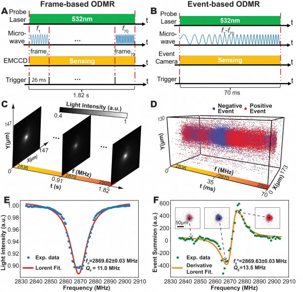 Experimental demonstration. The measurement protocol, raw datasets and obtained ODMR spectrum (of the central point of ROI) using frame-based A, C, E and event-based sensor B, D, F respectively. The insert in F shows raw event frames (by accumulating events of 1ms range) at three different frequency points. The spectra in E and F are fitted with the Lorentzian and its derivative functions, respectively, from which the resonance frequency f0 is extracted (f0*is the averaged result from forward and backward sweeping; Error represents the standard deviation from 10 repeated measurements)