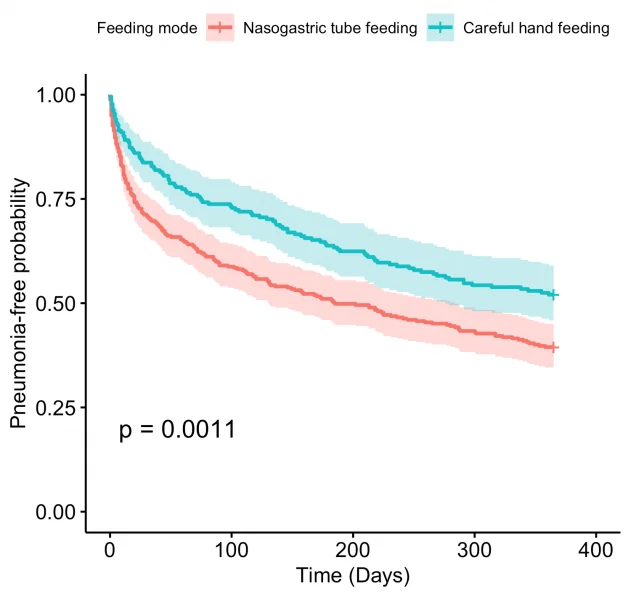 A HKUMed study found that there is little difference in one-year survival probability among advanced dementia patients on nasogastric tube feeding or careful hand feeding (125 days versus 145 days, Graph 1). But those on nasogastric tube feeding have a lower pneumonia-free survival probability compared with those on careful hand feeding (Graph 2).  