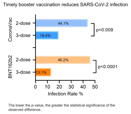 HKUMed reports that timely booster vaccination reduces Omicron breakthrough infections and COVID-19 severity