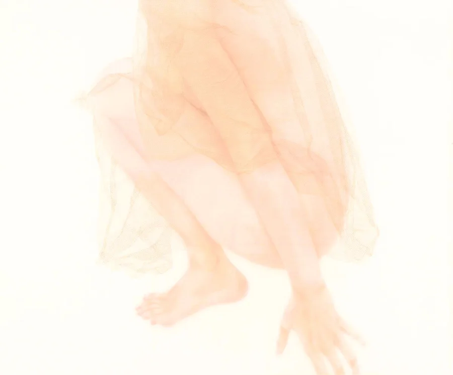 Xu Hualing Aroma 2014 No.8 2014 Colours on Silk 100cm x 121cm