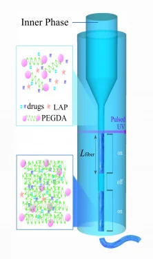 HKU Biomedical Engineering team develops a novel injectable hydrogel that can revolutionise regenerative medicine