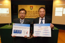 HKU Study on Stem Cell and Aging:  
revealing anti-aging genetic mechanism
