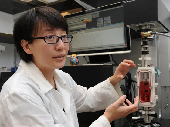 Hong Kong Institute for the Humanities and Social Sciences