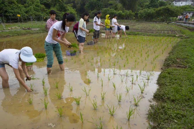 Living Water & Community Revitalisation – 
An Agricultural-led Action, Engagement and Incubation Programme at Lai Chi Wo