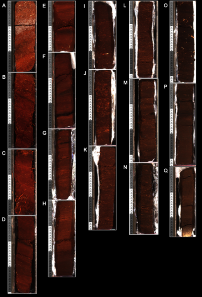 Composite images of peat core from Surf Bay, Falkland Islands. The 476 cm core was collected and transported as 17 monoliths pictured in A-Q. (Photo courtesy: Dulcinea V. Groff)  