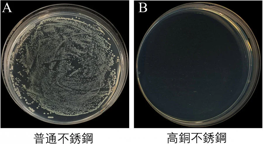 Figure 3. Photos of typical bacterial colonies on A) regular SS and B) the high Cu SS (20 wt%)