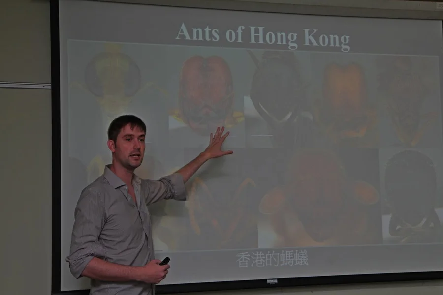 Dr Benoit Guénard, Assistant Professor of HKU School of Biological Sciences introducing the common ants that can be found in Hong Kong.