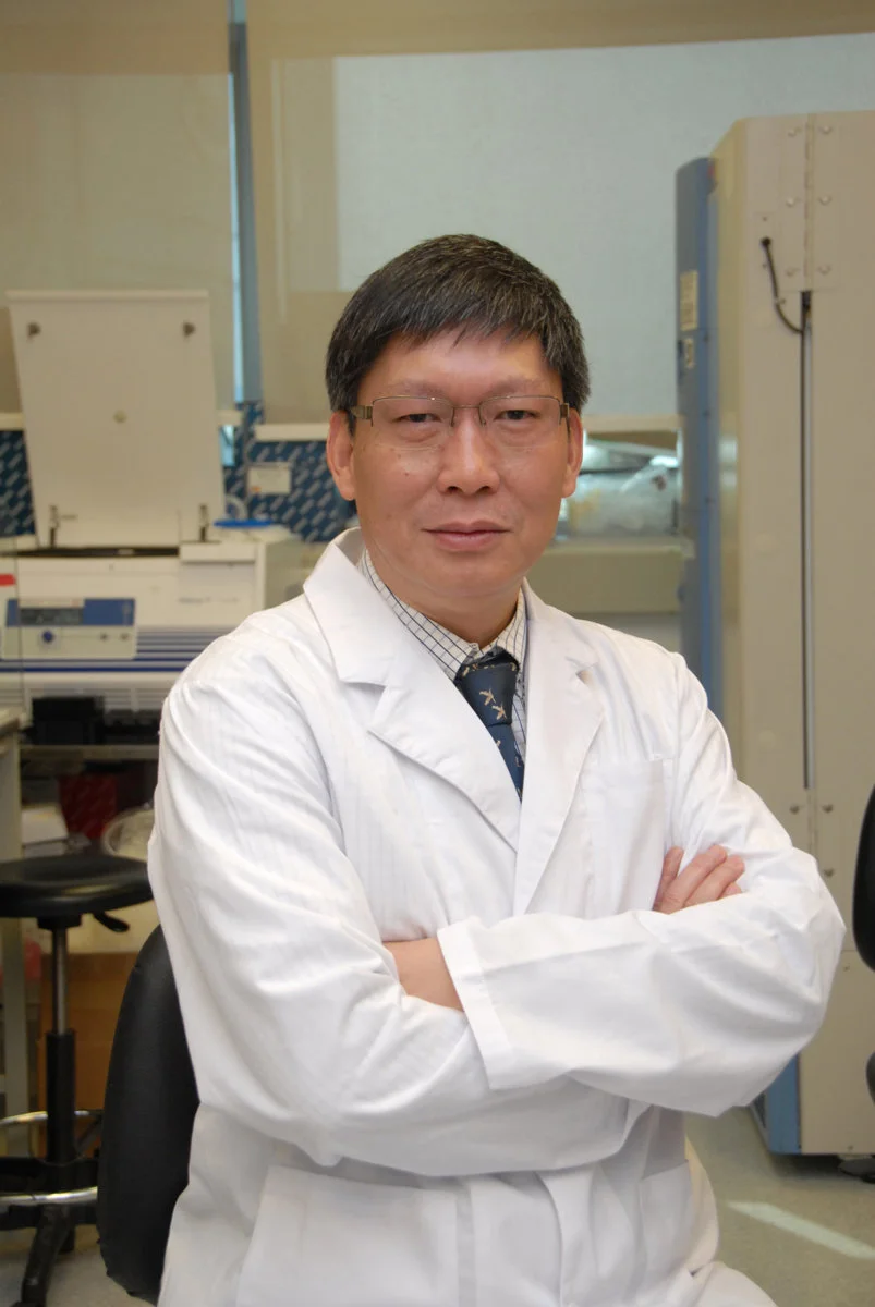 Professor Yi Guan, Daniel C K Yu Professor in Virology and Professor in the School of Public Health, Li Ka Shing Faculty of Medicine, HKU points out that the study shows that chickens at live-poultry markets are the direct source of H7N9 human infections.