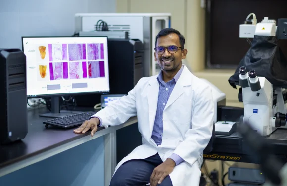 HKU Dentistry study presents “positive stress” to boost tooth tissue regeneration