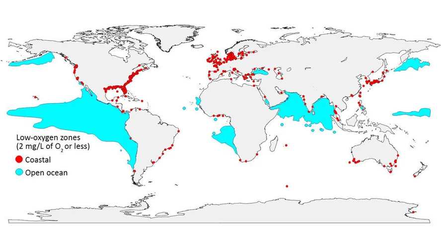 Low-oxygen zones are spreading around the globe. Red dots mark places on the coast where oxygen has plummeted to 2 milligrams per liter or less, and blue areas mark zones with the same low-oxygen levels in the open ocean. (Credit: GO2NE working group. Data from World Ocean Atlas 2013 and provided by R. J. Diaz)
