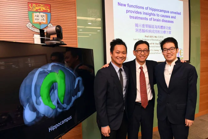 HKU scientists achieve major breakthrough in untangling mysteries of the brain: New functions of hippocampus unveiled to bring insights to causes and treatments of brain diseases