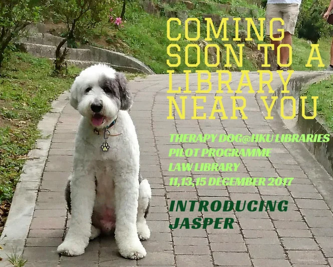 HKU Libraries Resident Therapy Dog Programme:
A unique first for Hong Kong and higher education