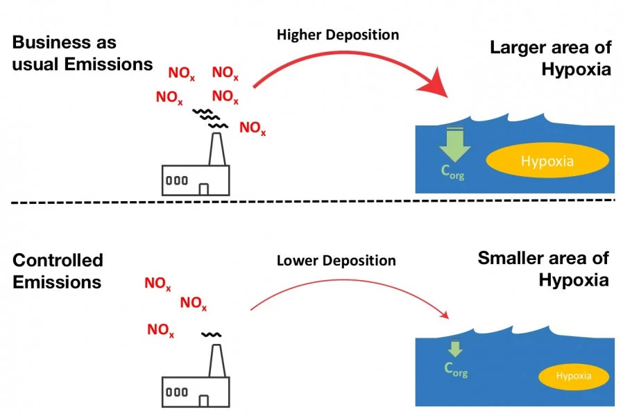 Illustration of the chain of events from the emissions to the generation of hypoxia. Illustration from the article (https://pubs.acs.org/doi/abs/10.1021/acs.est.0c00706)