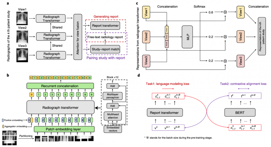 REFERS workflow. Researchers forward radiographs of the k-th patient study through the radiograph transformer, fuse representations of different views using an attention mechanism, and use report generation and study–report representation consistency reinforcement to exploit the information in radiology reports. Graph a, an overview of the whole pipeline. Graph b, the architecture of the radiograph transformer. Graph c, attention for view fusion is elaborated. MLP stands for a multi-layer perceptron. Graph d, two supervision tasks are shown, report generation and study–report representation consistency reinforcement.