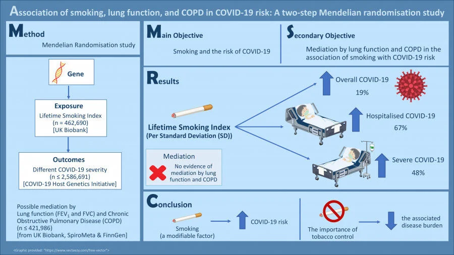A joint HKU-CUHK study finds that smoking increases the risk of COVID-19   