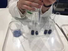 The "Clever Foodies" interactive science workshops for primary school students
BASF Kids' Lab at the University of Hong Kong