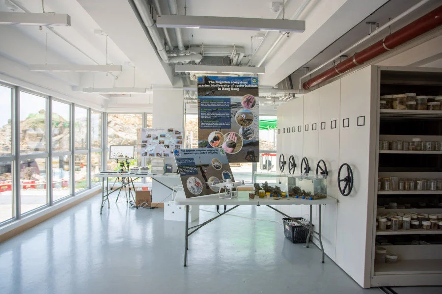 Image 8: Biodiversity Centre - As part of the new structure, the centre will be a multipurpose space for public outreach and community engagement, a classroom for visiting school groups, and a library which houses the SWIMS museum specimen collection. The specimen collection mostly collected from Hong Kong, which will continue to be used for research purposes.  