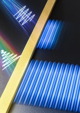 Recovering Lossless Propagation:
HKU Physicists Overcoming Optical Loss in Polariton System 
with Synthetic Complex Frequency Waves