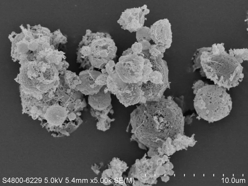 SEM image of ‘inhaled tamibarotene powder formulation’ at x5,000 magnification.  