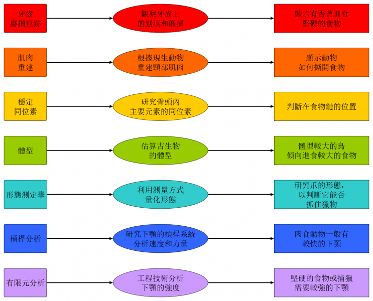 Figure 2. Simplified version of the framework proposed by Miller & Pittman. From left to right: name of the technique, brief description, and what it can tell about diet. See Figure 8 of the published paper for a more detailed version. Image credit: Case Vincent Miller & Michael Pittman.  