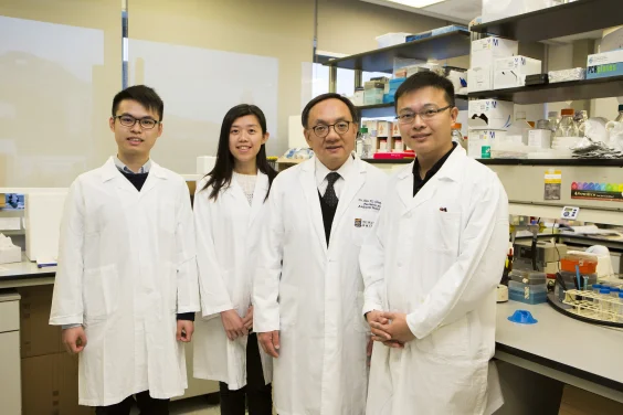HKU Discovers High Risk Epstein-Barr Virus Variants associated with Nasopharyngeal Carcinoma