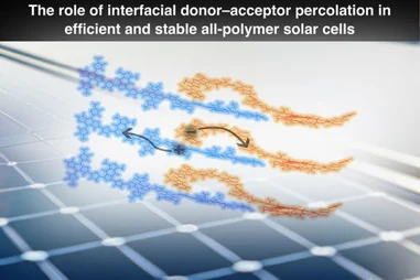 HKU Engineering researchers uncover the key to efficient and stable organic solar cells