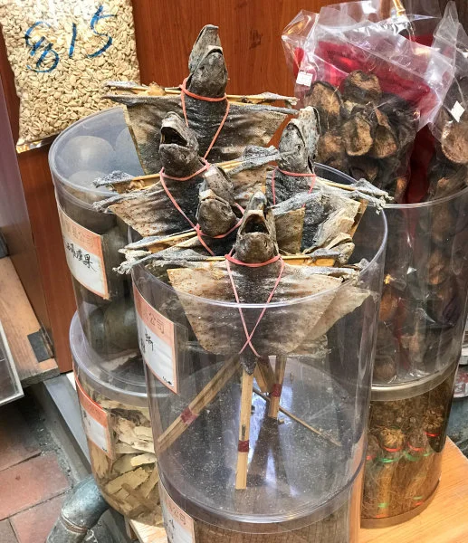 Dried tokay geckos on stick for sale in Hong Kong. (Credits to Pauline DUFOUR)  
