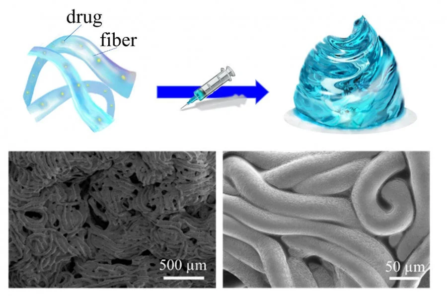 Figure 2. The structure of Fibro-gel. The black and white electron microscope images show individual fibres that the form the gel. (Picture is reproduced under the terms of the Creative Commons Attribution License. © 2023 Shen et al. Advanced Materials published by Wiley-VCH GmbH.)  