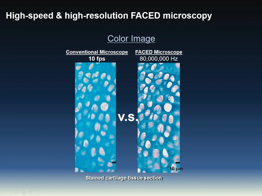 FACED colour image effect compared with conventional microscopy