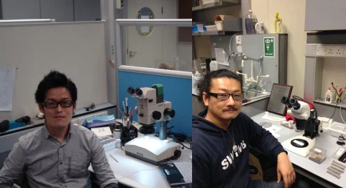 Dr Hokuto Iwatani (left) and Dr Moriaki Yasuhara (right) working in their laboratories at the School of Biological Sciences, The University of Hong Kong.