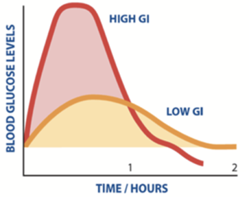 The illustration of the blood glucose response after consuming high GI and low GI carbohydrate.  