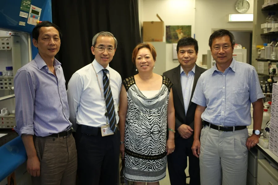 HKU investigators use genetics to shine a light on susceptibility back pain caused by degeneration of spinal discs.  The key researchers are (from the left) Dr. Song You-qing, Associate Professor of the Department of Biochemistry, Professor Kenneth Cheung Man-chee, Jessie Ho Professor in Spine Surgery, Clinical Professor and Head of the Department of Orthopaedics and Traumatology, Professor Kathryn Cheah, Chair Professor of the Department of Biochemistry, Professor Sham Pak-Chung, Chair Professor of Psychiatric Genomics, the Department of Psychiatry and Dr. Danny Chan, Associate Professor of the Department of Biochemistry, HKU Li Ka Shing Faculty of Medicine.