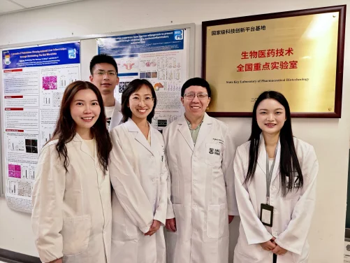 HKUMed uncovers the mechanism behind exercise-induced bone strengthening, paving the way for novel osteoporosis treatment